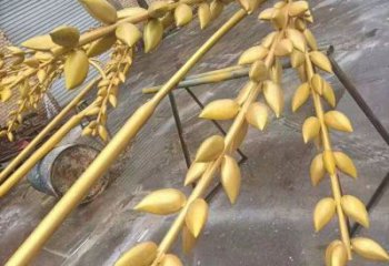 水景水稻雕塑廠 風(fēng)景區(qū)幾何雕塑制作 廣場(chǎng)小品