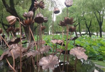 荷花雕塑供應(yīng)，城區(qū)小品，戶外銅荷花雕塑制造商