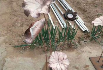 荷葉雕塑展品，室外軟裝，銅荷葉雕塑訂做廠家