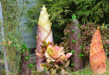 竹筍雕塑供需,小區(qū)雕塑,不銹鋼竹筍雕塑制造廠家