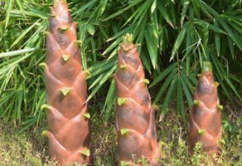 竹筍雕塑預(yù)定,創(chuàng)意雕塑,不銹鋼竹筍雕塑選用