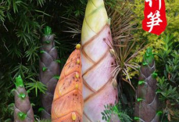 竹筍雕制造商,室外軟裝,不銹鋼竹筍雕塑生產(chǎn)商