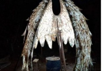 城市翅膀雕塑，網格燈光雕塑，古銅效果